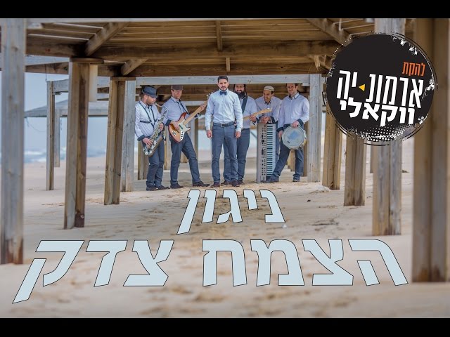 קליפ ניגון צמח צדק של ארמונ-יה