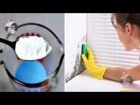 Kjo përzierje do të pastrojë shtëpinë tuaj nga myku dhe lageshtia. Të gjithë do ju kenë zili