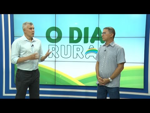 Analista do SEBRAE-PI fala sobre programa de inovação e desenvolvimento sustentável 01 04 2023