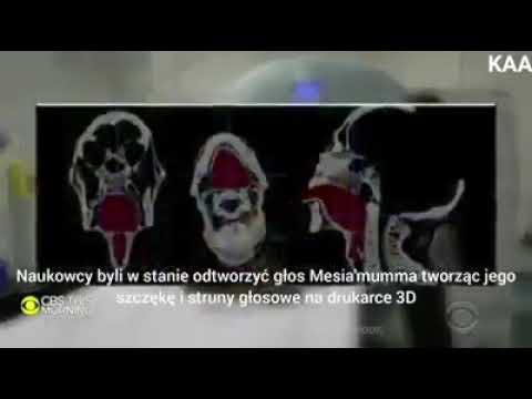 Stonoga - Ziobro ty[...] ft. Mumia