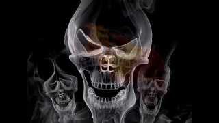 THE WORKHORSE MOVEMENT - Joe Mama