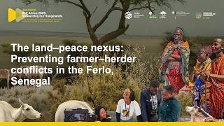 The land–peace nexus: Preventing farmer–herder conflicts in the Ferlo, Senegal