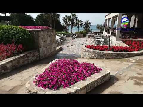 Videos del Arum Barut Collection 5★ en Side, TurquíaVer MásVerPrecios15CerrarConsulta por Whatsapp 🇦🇷BookingTripadvisorExpediaAgodaOrbitzPricelineTripSkyscannerDespegarKayakHotelesDestiniaTrivagoLastminuteTui