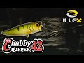 Chubby Popper 4,2cm RT Biwako Bass