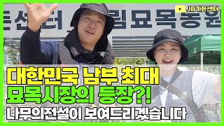 대한민국 남부 최대 묘목 시장의 등장 !?? 나무의 전설이 직접 보여드리겠습니다. [JB가든센터_대림묘목농원…