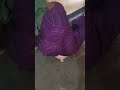 Housewife Cleaning Vlog Salwar Women Cleaning Vlogs