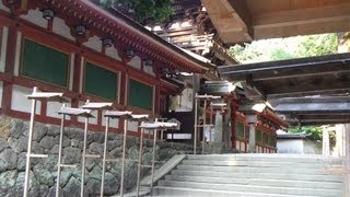 preview picture of video '[Shinto Shrine 3D]  Isonokami Jingu Shrine, Tenri, Nara 石上神宮 天理 奈良'