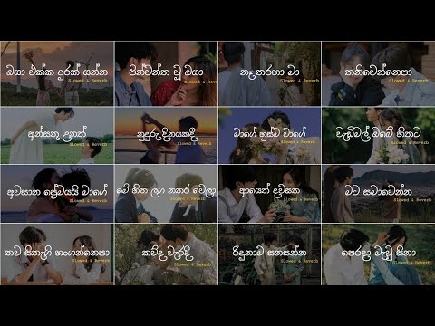 Nonstop Sinhala Slowed and Reverb Song Collection 😫❤️ මනෝපාරකට
