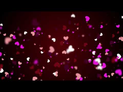 The Heart Shapes Particles Backgrounds Loop Motion Graphics Featuring Valentine’s Day 4K (Free)