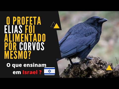 Did ravens really feed the prophet Elijah?