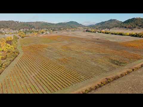 Vineyard Drone Work