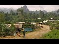 Wild West Town | Expedition Borneo | BBC Earth