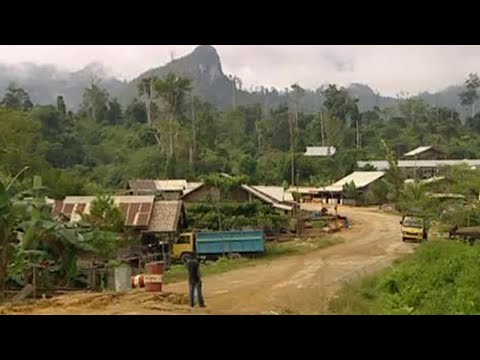Thumbnail of the video: Wild West Town | Expedition Borneo | BBC Earth