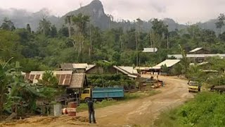 Wild West Town | Expedition Borneo | BBC Earth