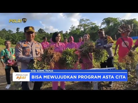 POLRES SARMI GELAR PANEN RAYA KACANG TANAH, DUKUNG KETAHANAN PANGAN