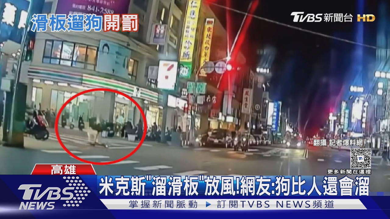 影音／眼睛沒問題!　米克斯「溜滑板」放風　網友:狗比人還會溜