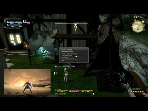 FFXIV - Cleaning the chocobo stable