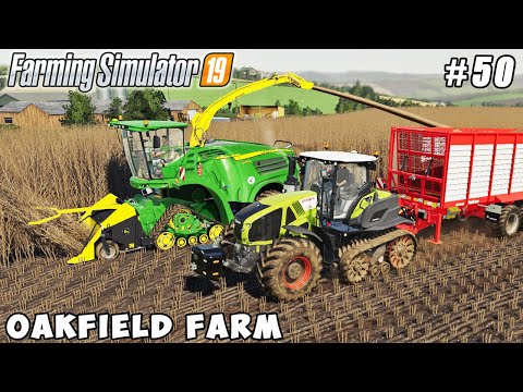Poplar harvesting, manure spreading | Oakfield Farm | Farming simulator 19 | Timelapse #50