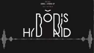 DJ Boris - Hybrid EP [SCI+TECH]