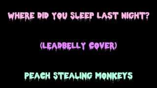 Where Did You Sleep Last Night? || Peach Stealing Monkeys