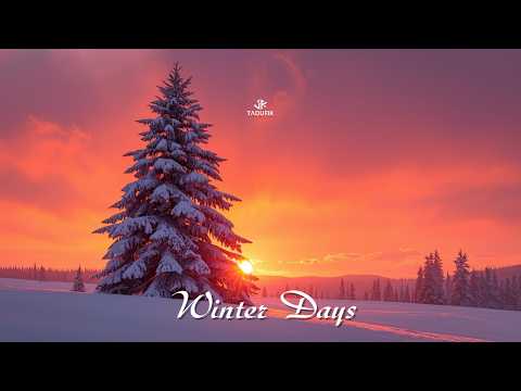 Taoufik - Winter days (Official Music)