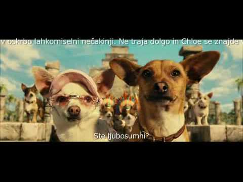 Čivava z Beverly Hillsa - napovednik