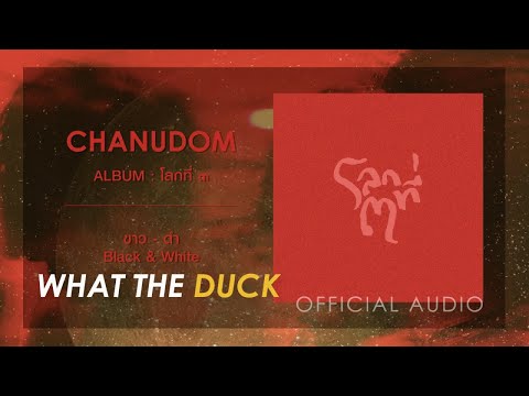 ขาว-ดำ (Black & White) - Chanudom [Official Audio]