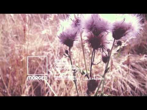 MORGEN FM - [PR005] IIIIIIII Mixed by Lola Palmer.