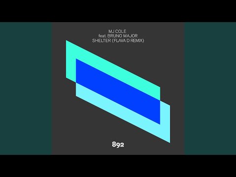 Shelter (Flava D Remix)