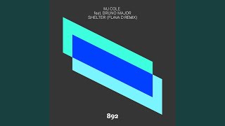 Shelter (Flava D Remix)