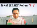 JERSEY COW FARM ਕੀ ਵਧੀਆ ਤੇ ਕੀ ਨੁਕਸਾਨ 😯✔️💰