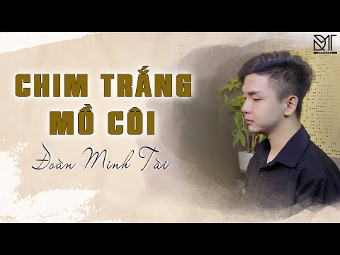 CHIM TRẮNG MỒ CÔI ( Acoustic Version ) | ĐOÀN MINH TÀI | DÂN CA HAY NHẤT 2021