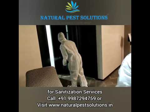 Home Sanitization Service