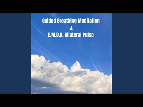60 Bpm (Loop This) Brow 3rd Eye Chakra 6 Bilateral Pulse Instrumental with Breath Guide for...