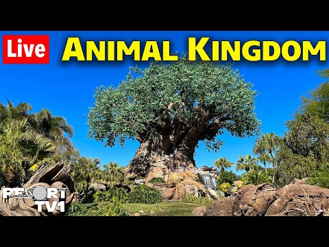 🔴Live: Magical Monday at Animal Kingdom - Rides, Shopping, & More-Disney World Live Stream- 10-21-24