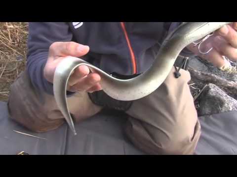 Savage Gear Ready To Fish Real Eel Lure