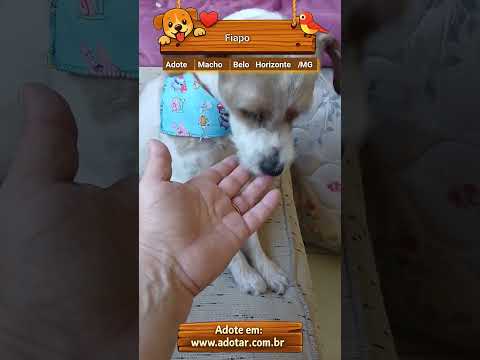 Vídeo de Fiapo