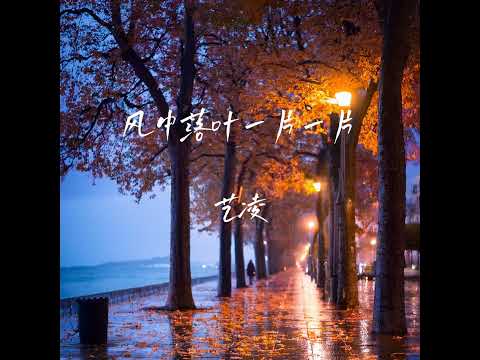 风中落叶一片一片 (Dj版)