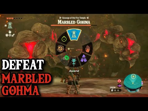 How to Fight Marbled Gohma, The Easiest Way in Tears of The Kingdom