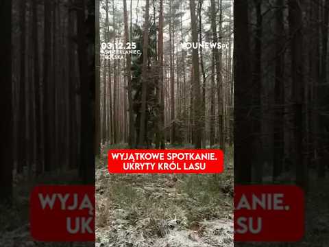 Wyjątkowe spotkanie. Ukryty król lasu (03.12)