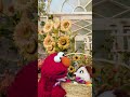 Elmo S Easter Egg Hunt Sesamestreet