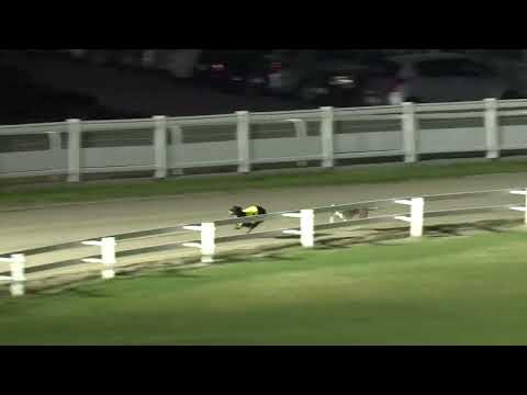 2023.06.16 10. FUTAM - KINCSEM PARK MAGYAR DERBY NEGYEDDÖNTŐ II. FUTAM