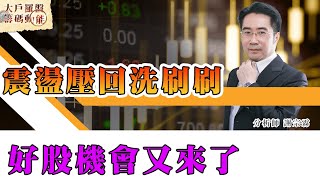 震盪壓回洗刷刷 好股機會又來了 (圖)