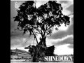 Shinedown Soon Forgotten 