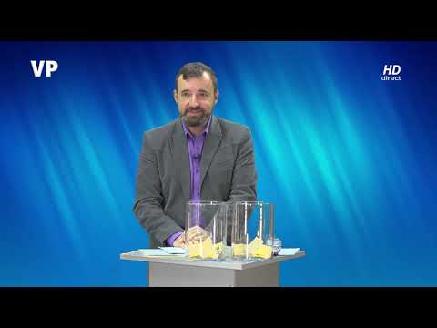 The Best 2023 – Calificări 5 – COLEGIUL NAȚIONAL ”NICHITA STANESCU”, PLOIEȘTI și COLEGIUL NAȚIONAL ”MIHAI VITEAZUL” PLOIEȘTI