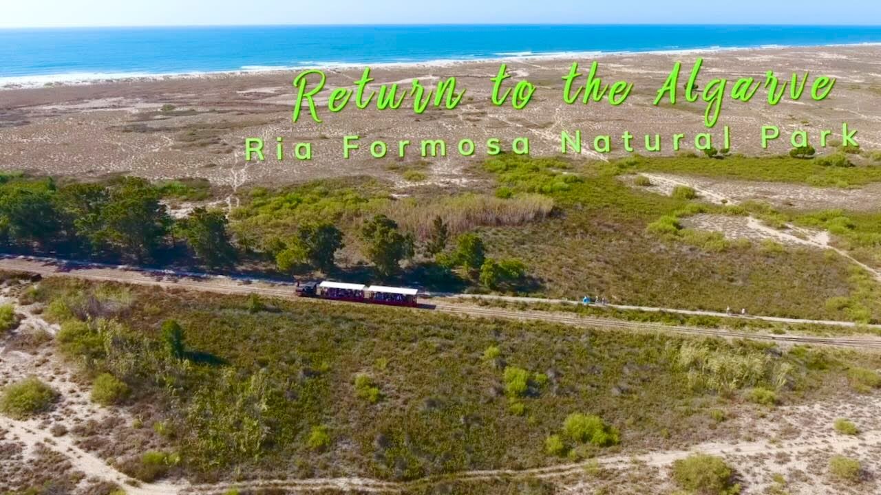 Guide to exploring Ria Formosa Natural Park.