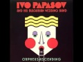 Ivo Papazov & his Bulgarian wedding band