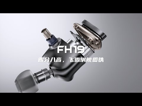 фото fiio fh19 0