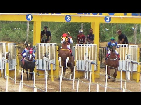 Torneio de potros no HGP - Classificatórias e a FINAL