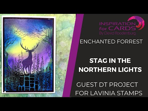Ciervo bajo la aurora boreal, una tarjeta de Lavinia